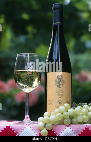 Close-up of glass and bottle of white wine with grapes Stock Photo