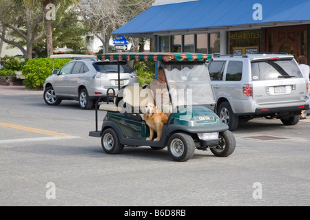 Golf cart with driver and passenger dog in Boca Grande on Gasparilla Island on the Gulf Coast of Florida Stock Photo