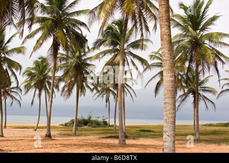 Beach in Ouidah, Benin, West Africa Stock Photo