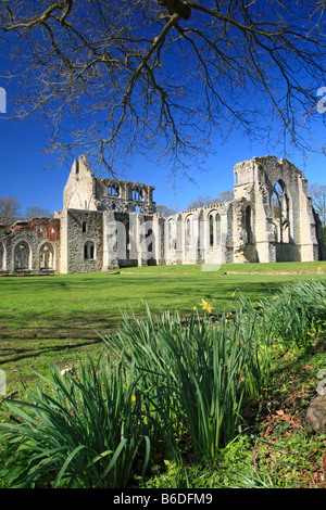 Netley Abbey ruins in spring Stock Photo