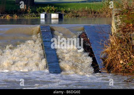 Combined fish and elver pass on River Avon, Stratford upon Avon, Warwickshire, England, UK Stock Photo