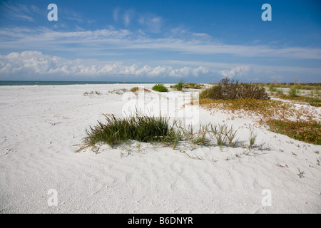 A wide sandy beach is a highlight Fort Desoto Park in St. Petersburg, Florida. Stock Photo