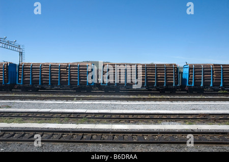 Russia Mongolian border. Wood being taken to China on Trans-Siberian/Trans-Mongolian train. 2007 Stock Photo