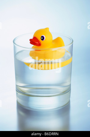 Toy duck floating on water inside a glass of water. Stock Photo