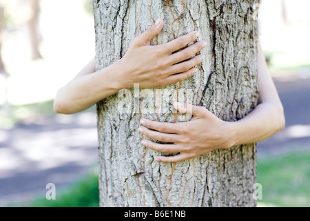 Tree hugging. Arms of a young woman wrapped around a tree trunk. Stock Photo