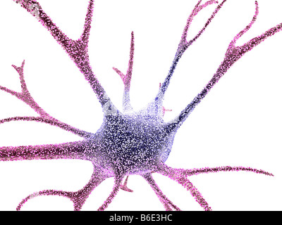 Nerve cell against white background Stock Photo: 21208473 - Alamy