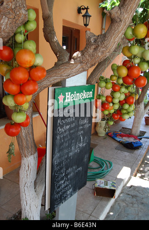 Tomatoes hanging outside a Greek taverna in Crete. Stock Photo