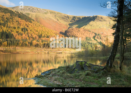 View from the western shore of Thirlmere looking towards Helvellyn and Nethernmost Pike Lake District Cumbria Uk Stock Photo