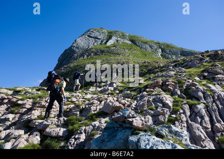 Group of hikers on slope towards Funtenseetauern near Koenigsee Berchtesgaden Alps Germany August 2008 Stock Photo