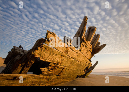 Africa Namibia Skeleton Coast Wilderness Remains of the shipwrecked fishing boat FV Southwest Seas along white sand beach Stock Photo