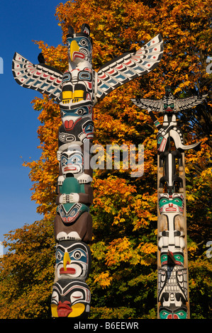 Kakasolas and Chief Wakas totem poles aboriginal wood carving in Stanley Park Vancouver with orange maple leaves Stock Photo