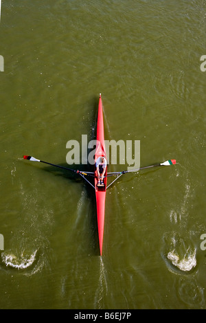 A rowboat training on the Oder River, Frankfurt/Oder, Brandenburg, Germany, Europe Stock Photo