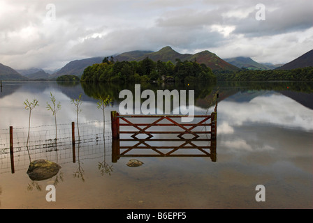 Reflexions in the calm Derwent Water in soft early morning light, Keswick, Cumbria, United Kingdom, Europe Stock Photo