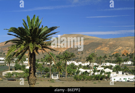View at the village Haria, surrounded by palm trees, Canary Islands, Lanzarote Stock Photo