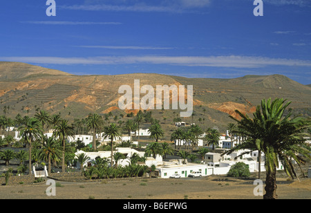 View at the village Haria, surrounded by palm trees, Canary Islands, Lanzarote Stock Photo