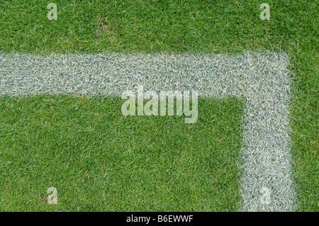 soccer field close ups of markings Stock Photo