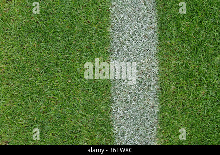 soccer field close ups of markings Stock Photo