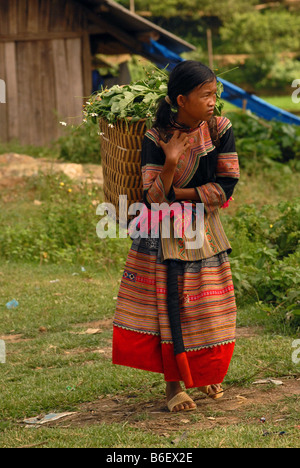 Flower Hmong girl Northern Vietnam Stock Photo