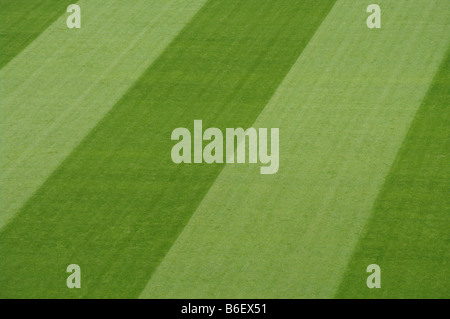 soccer field close ups of markings Stock Photo