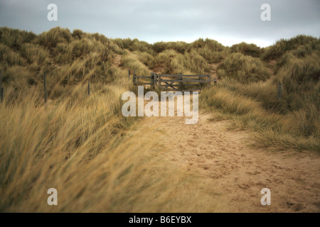 Path through the sand dunes on Bamburgh beach Northumberland Stock Photo