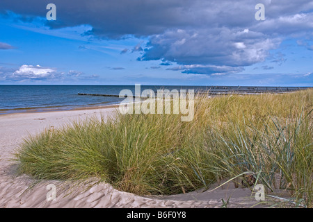 Beach, seaside resort Koserow, Usedom island, Mecklenburg-Western Pomerania, Germany, Europe Stock Photo