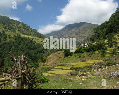 Village of Ulleri, Nepal Stock Photo - Alamy