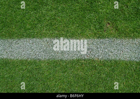 soccer field close ups of markings Stock Photo