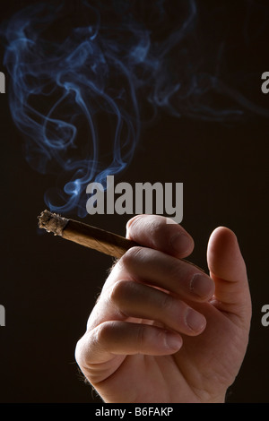 Hand with a smoking cigar Stock Photo