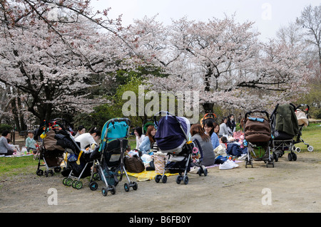 Young mothers getting together at the Cherry Blossom Festival under blossoming cherry trees and creating a large collection of  Stock Photo