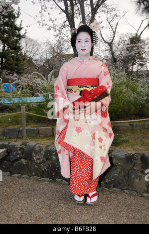 A Maiko, a trainee Geisha, in Maruyama Park, Kyoto, Japan, Asia Stock Photo