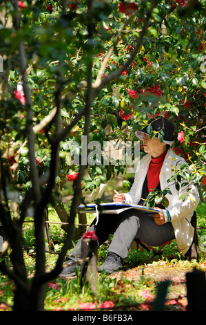 Japanese amateur painter in the botanical gardens amongst camelia branches, Kyoto, Japan, Asia Stock Photo