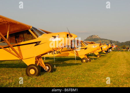 Propeller-driven aircraft parked in a row on a meadow, Flugtag Hilzingen 2008, Konstanz district, Baden-Wuerttemberg, Germany,  Stock Photo