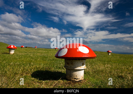 Water pumping system, painted to look like a mushroom field, on top of Mount Victoria, Devonport district, Auckland, New Zealand Stock Photo