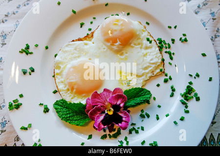 Fried eggs served at a Bed & Breakfast in South Africa Stock Photo