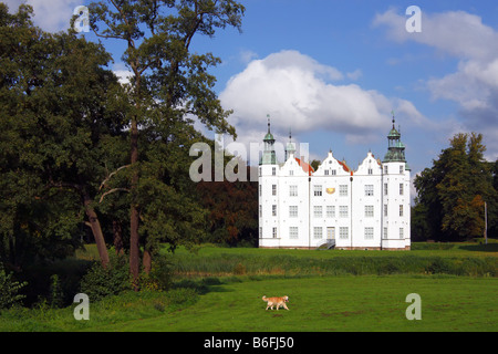 Golden retriever running in the park in front of the moated castle of Ahrensburg, city of Ahrensburg, Stormarn district, Schles Stock Photo