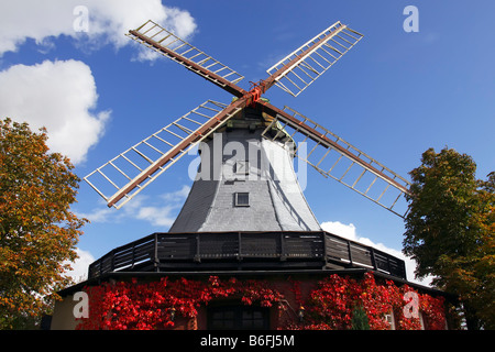 Historic windmill in dutch style, Pirsch Mill, Hamfeld Mill, restaurant, hotel, Hamfelde, Herzogtum Lauenburg, Schleswig-Holste Stock Photo