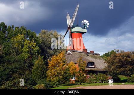 Historic windmill in dutch style, Reitbrook Mill, Vierlande, Marschlande, Hamburg, Germany, Europe Stock Photo