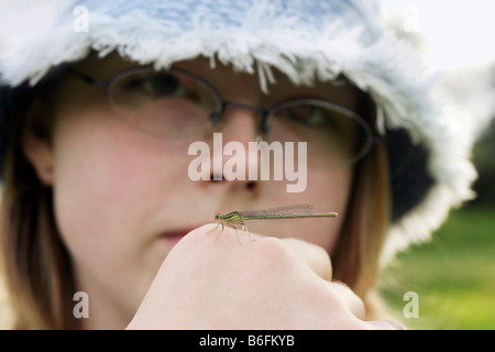Girl, 14 years, with White-legged Damselfly (Platycnemis pennipes) Stock Photo