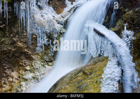 Winter brook in the Horne Diery canyon, Mala Fatra National Park, Slovakia, Europe Stock Photo