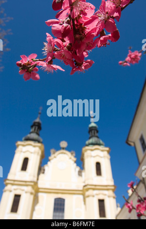 Church of Ascension of Virgin Mary in Straznice, Hodonin district, South Moravia, Czech Republic, Europe Stock Photo