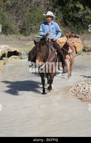 Claim Digger on Horseback with his backpacked mule walking through a stream in Texas wanting to pan for Gold Stock Photo