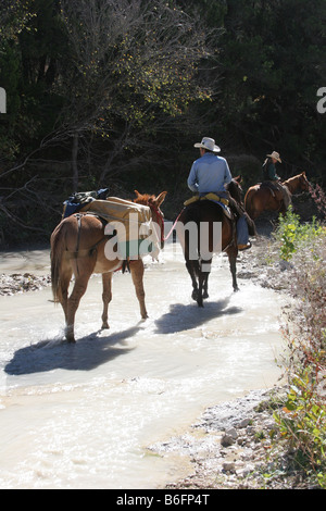 Claim Diggers on horseback with a mule walking through a stream in Texas wanting to pan for Gold Stock Photo