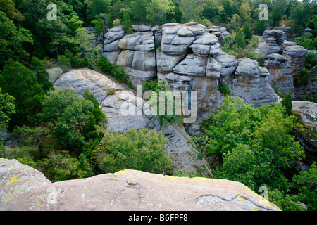 Sandstone rocks in the Garden of the Gods, Shawnee National Forest, Illinois, USA Stock Photo