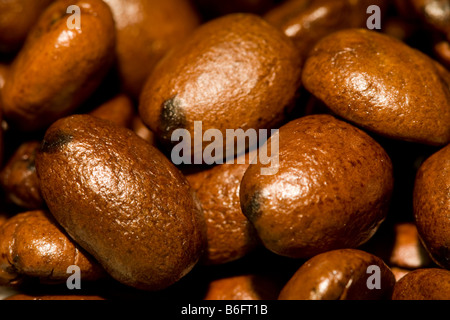 Macro Image of Medium Roast Arabica Coffee Beans Stock Photo