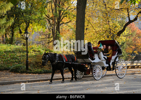 Central Park New York America USA Horse drawn tourist taxi carriage sightseeing Stock Photo
