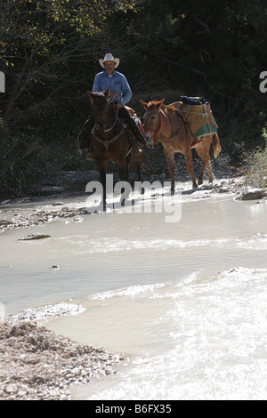 Claim Digger on horseback with his mule walking through a stream in Texas wanting to pan for Gold Stock Photo