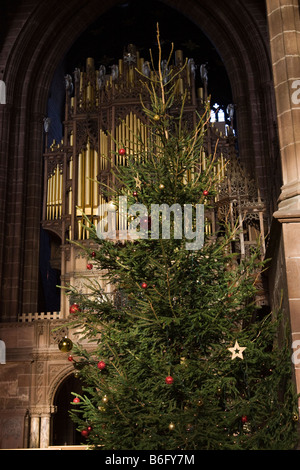 UK Cheshire Chester Cathedral Christmas tree in the Nave Stock Photo