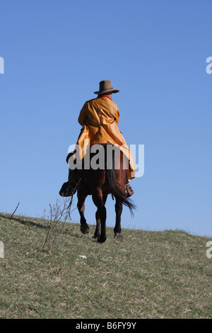 A cowboy riding his horse up a hill out on the range Stock Photo