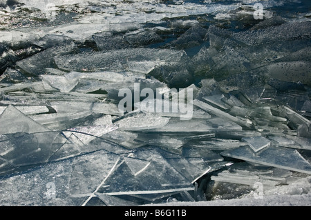 Ice shards on the edge of Lac St. Louis, in early winter. Stock Photo