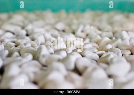 Close-up of sea pebbles. Stock Photo